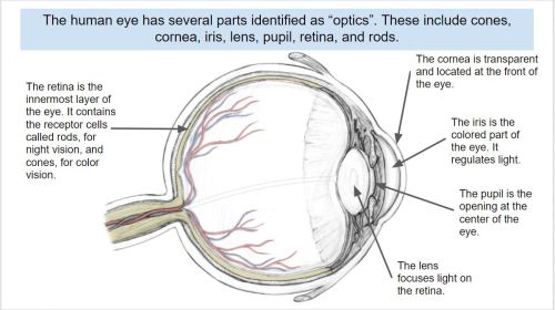 Coherence Theory compliant